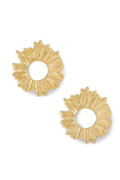 Gold Earrings Coral Shape